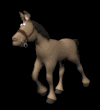 horse_with_halter_trotting_md_blk.gif